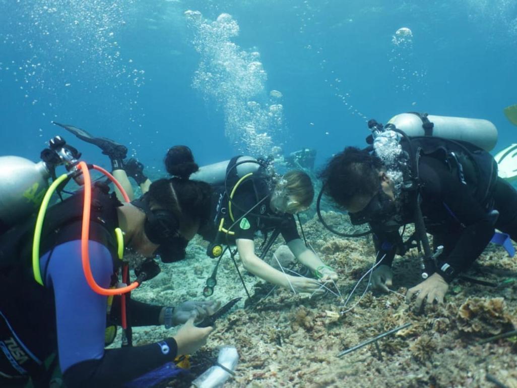 The Sagara Penida Nusa Penida Cameră foto